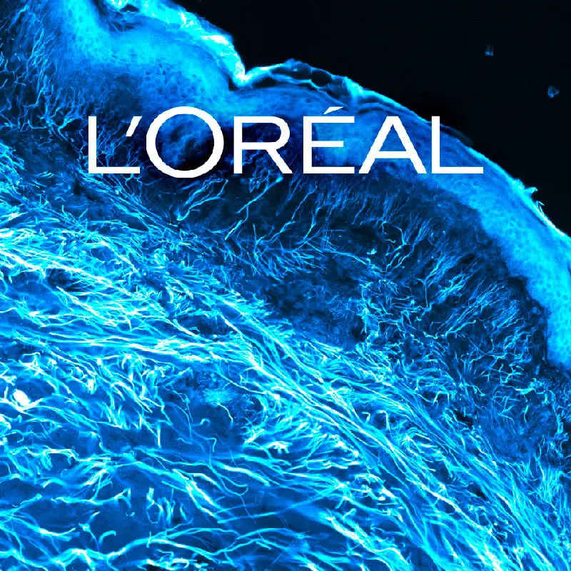 Loreal_intro_01